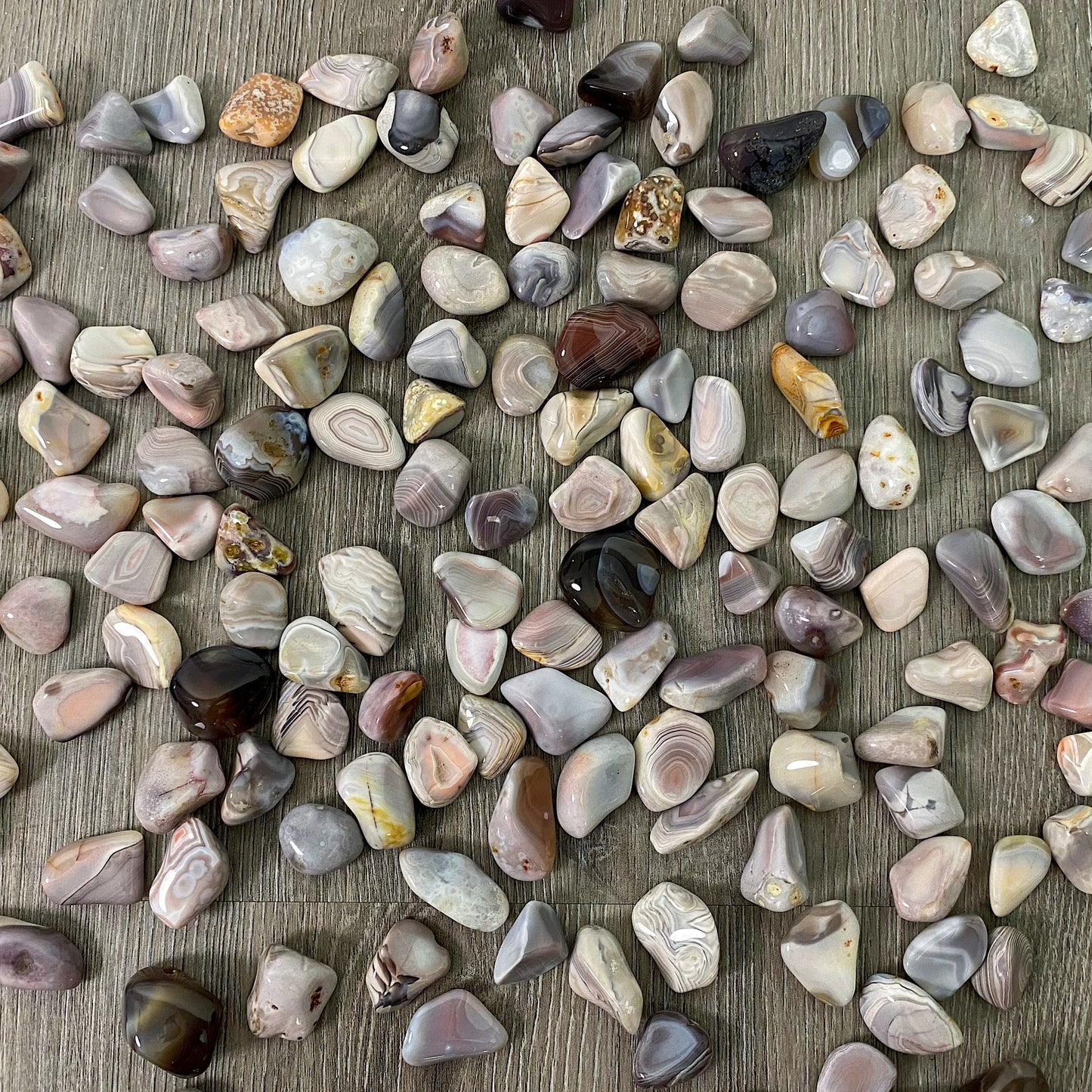 Botswana Agate Tumbled