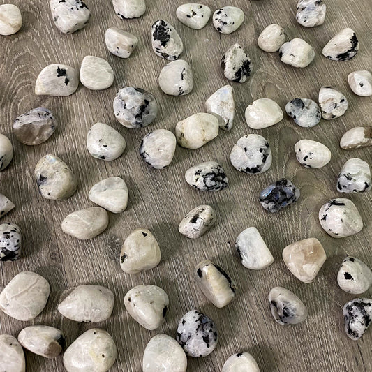 Rainbow Moonstone Tumbled